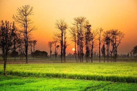 Architecture Tour Package, Punjab 6 Nights 7 Days