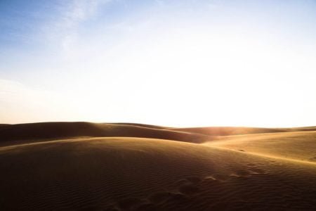 Delhi, Sariska, Ranthambore, Jaipur Holiday Tour 6 Night/7 Days