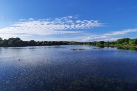 Forts and Palaces Tour of Rajasthan 12 Nights 13 Days