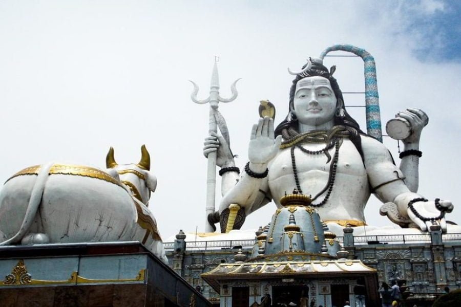 Beautiful Darjeeling Ridge Trek Tour (06 Nights 07 Days)