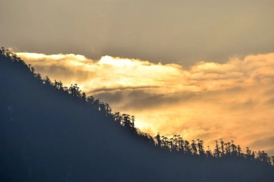 Beautiful Sikkim, Darjeeling Gangtok Holidays Tour (09 Night/10 Days)
