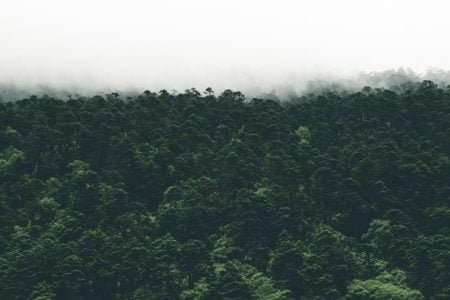 Beautiful Sikkim, Darjeeling Gangtok Holidays Tour (05 Night/06Days)