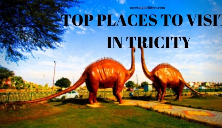 Top Places To Visit in Tricity-An Inforgraphic