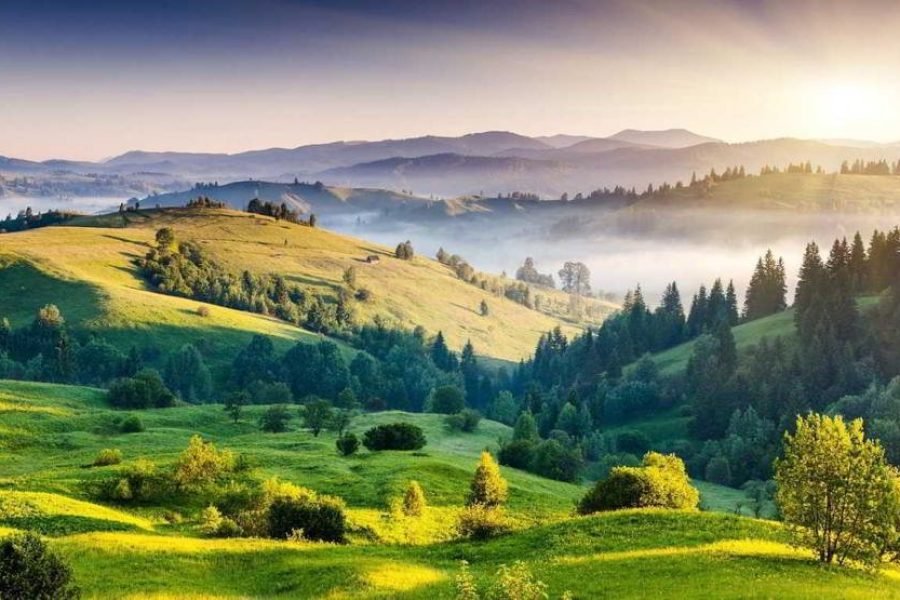 Madurai Kodaikanal Holiday Tour Package (03 Nights 04 Days)