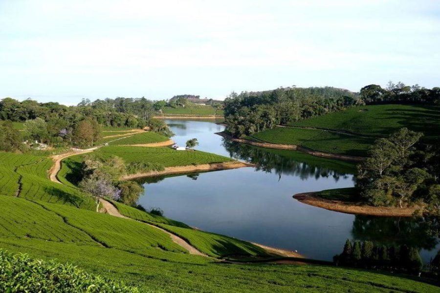 Tamilnadu Pilgrimage  Holiday Tour (9 Nights 10 Days)