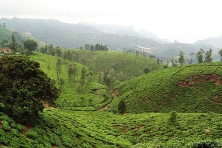 TEMPLES AND CATHEDRALS OF SOUTH INDIA CHRISTIAN PILGRIMAGE Package (02 Nights 03 Days)