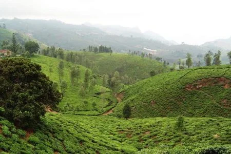 TEMPLES AND CATHEDRALS OF SOUTH INDIA CHRISTIAN PILGRIMAGE Package (02 Nights 03 Days)