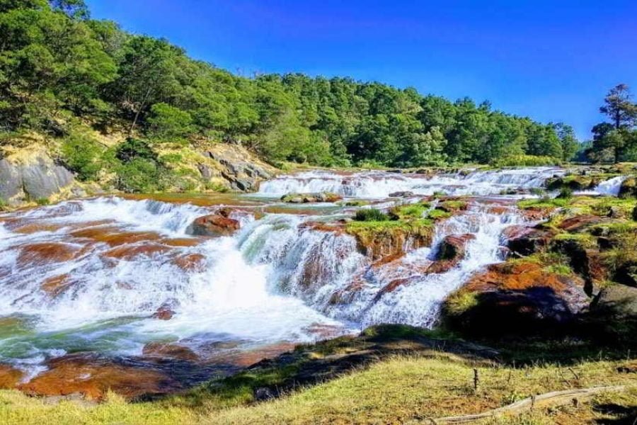 Ooty Mudumalai Coonoor Holiday Tour (02 Nights 03 Days)