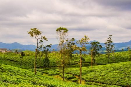 Karnatka Horse Safasri Tour Package (09 Nights/10 Days)