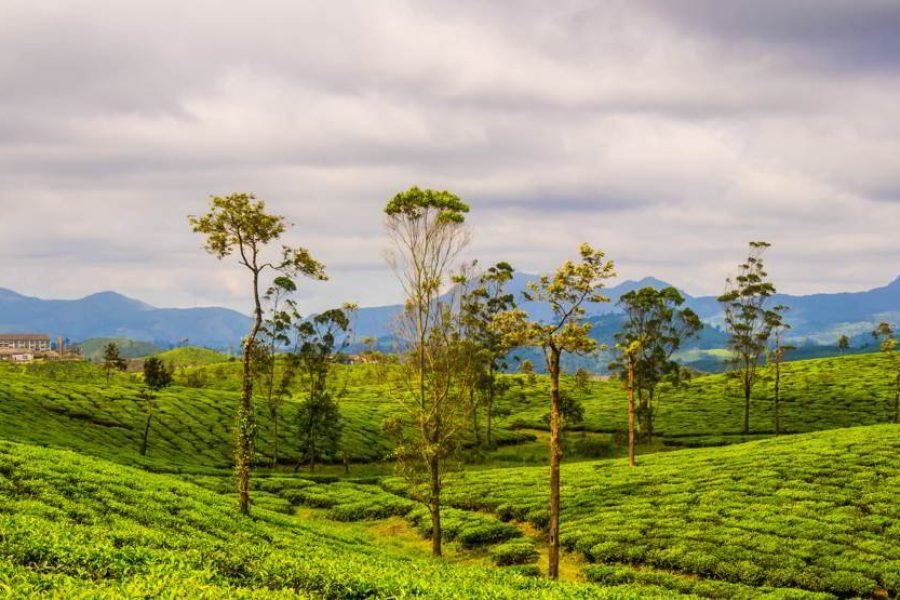 Thanjavur Pilgrimage Holiday Tour Package (02 Nights 03 Days)