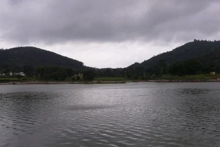 Coimbatore Wayanad 02 Nights / 03 Days