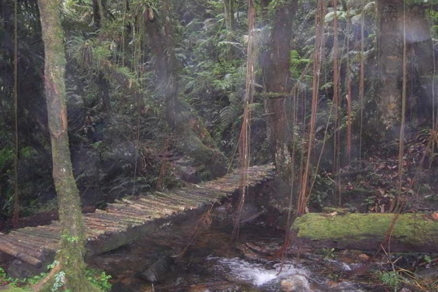 Andaman – Wandoor Beach  Holiday Package 01 Night/ 02 Days