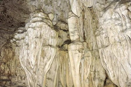 Exotic Andaman – Wibergang with Bartang Island Tour..  03 Nights 04 Days