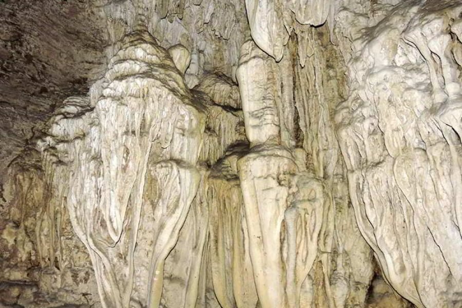 Exotic Andaman – Wibergang with Bartang Island Tour..  03 Nights 04 Days