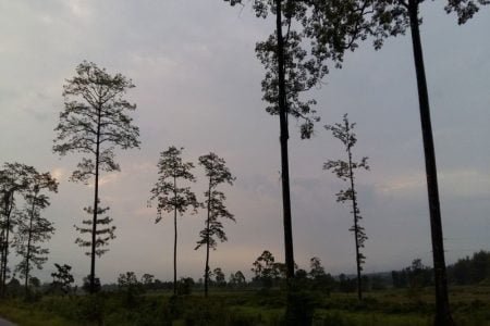 Arunachal Pradesh Guwahati- Itanagar- Ziro Daporijo 08 Nights 09 Days Holidays tour