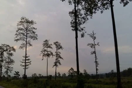 Arunachal Pradesh Guwahati- Itanagar- Ziro Daporijo 08 Nights 09 Days Holidays tour