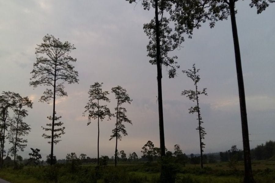 Arunachal Pradesh Guwahati- Itanagar- Ziro Daporijo 08 Nights 09 Days Holidays tour