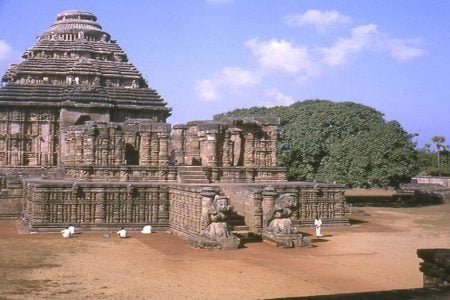 Bhitarkanika & Bhubaneshwar Holiday Tour 01 Night & 02 Days