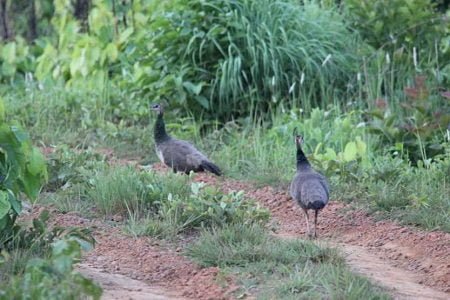 Delhi & Bhubaneswar Holiday Tour 03 Nights & 04 Days