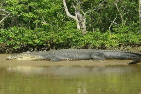 Bhubaneswar & Jaganath Puri Holiday Tour 02 Nights & 03 Days