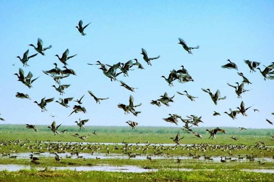 Odisha(Bhubaneswar )Tour Package (06 Nights/07 Days)