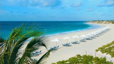 Top 9 Things To Do in Goa- An Infographic